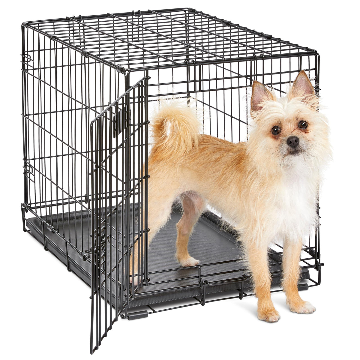 MidWest Homes for Pets 30-Inch iCrate for Medium Breeds, 21-40 lbs, Single Door Folding Dog Crate with Divider Panel, Leak-Proof Tray & Secure Latch, Portable, Durable & Easy to Assemble