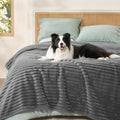 Bedsure ComfyFleece™ Waterproof Dog Blankets for Large Dogs,50x60 Cream | Soft Plush Couch Cover,Washable Corduroy Fleece for Furniture Protector,Cozy Calming Reversible Pet Blanket for Senior Dogs