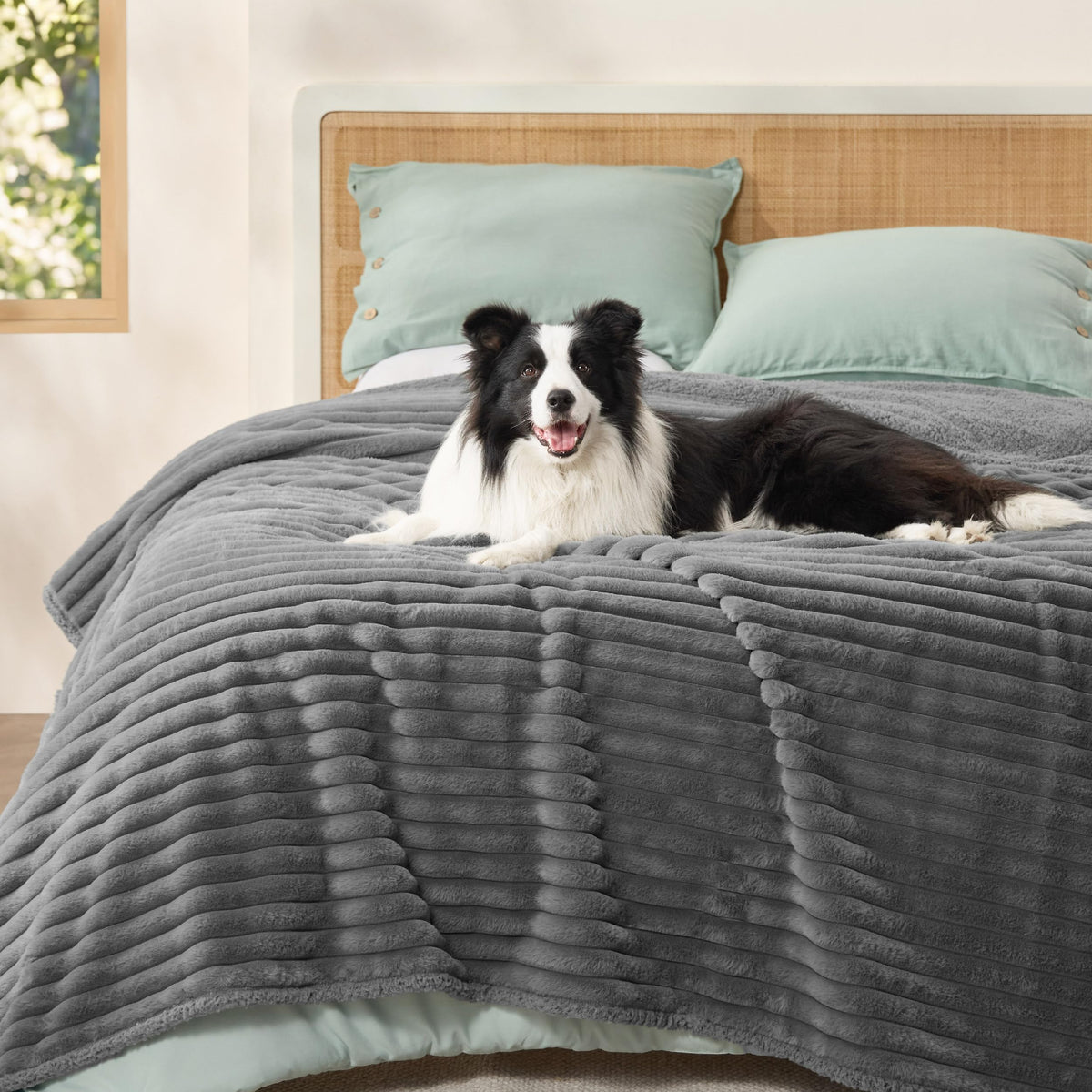 Bedsure ComfyFleece™ Waterproof Dog Blankets for Large Dogs,50x60 Cream | Soft Plush Couch Cover,Washable Corduroy Fleece for Furniture Protector,Cozy Calming Reversible Pet Blanket for Senior Dogs