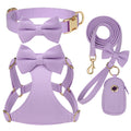 Beirui Cute Small Dog Harness Collar and Leash Set, Brown,XS,Chest 13-28"
