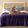 Bedsure Waterproof Dog Blankets for Small Dogs Soft Cat Blanket Warm,25X35