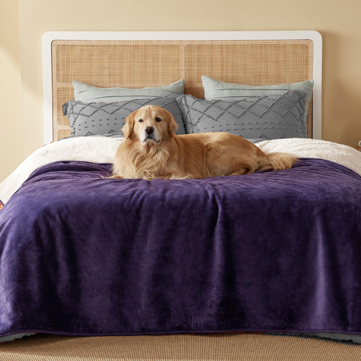Bedsure Waterproof Dog Blankets for Small Dogs Soft Cat Blanket Warm,25X35