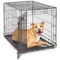 MidWest Homes for Pets 30-Inch iCrate for Medium Breeds, 21-40 lbs, Single Door Folding Dog Crate with Divider Panel, Leak-Proof Tray & Secure Latch, Portable, Durable & Easy to Assemble