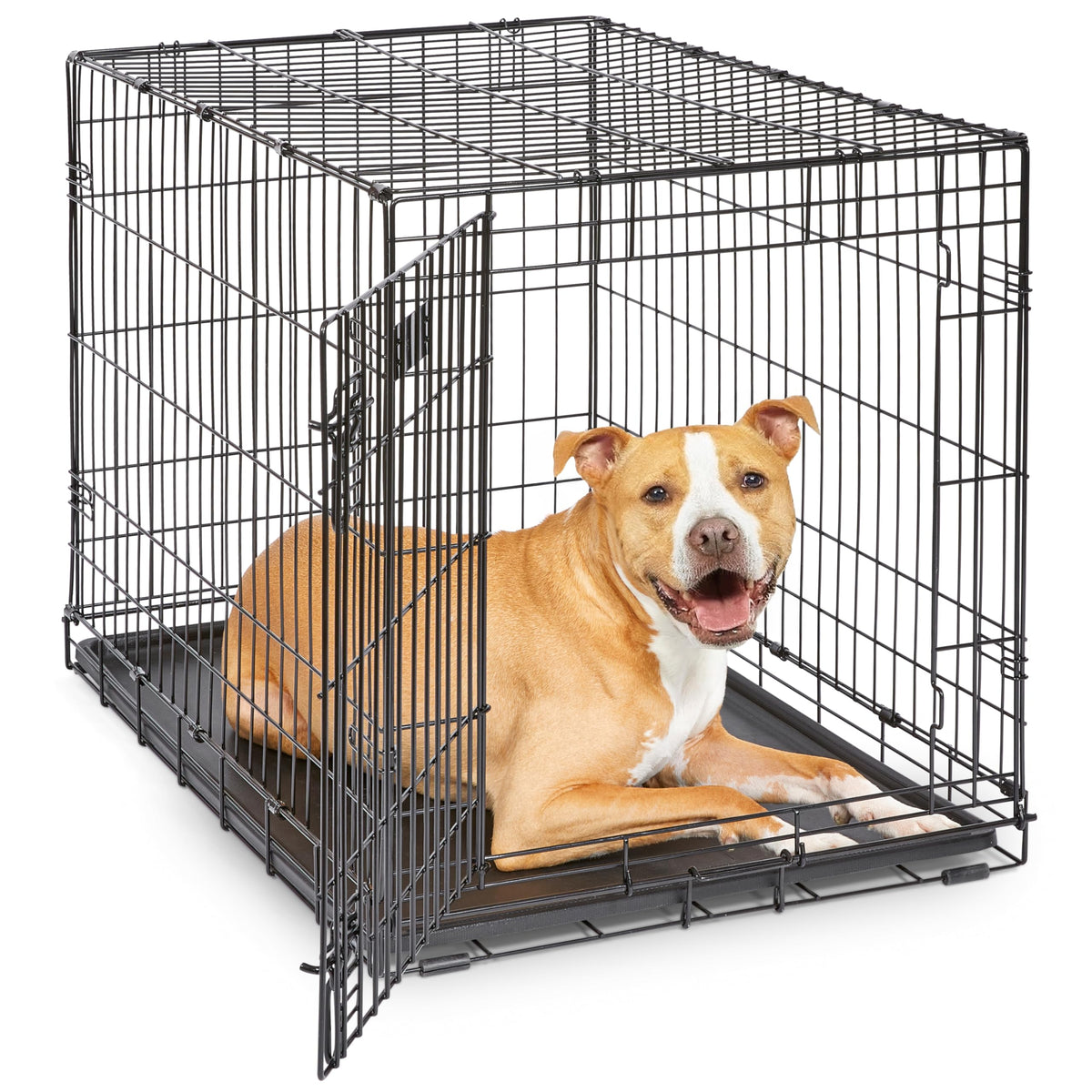 MidWest Homes for Pets 30-Inch iCrate for Medium Breeds, 21-40 lbs, Single Door Folding Dog Crate with Divider Panel, Leak-Proof Tray & Secure Latch, Portable, Durable & Easy to Assemble