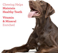 DreamBone Chicken Wrapped Twist Stick Dog Treats, Daily Rawhide-Free Chew, Digests Safely and Completely, With Real Protein, Chicken and Veggies, 50 count