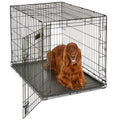 MidWest Homes for Pets 30-Inch iCrate for Medium Breeds, 21-40 lbs, Single Door Folding Dog Crate with Divider Panel, Leak-Proof Tray & Secure Latch, Portable, Durable & Easy to Assemble