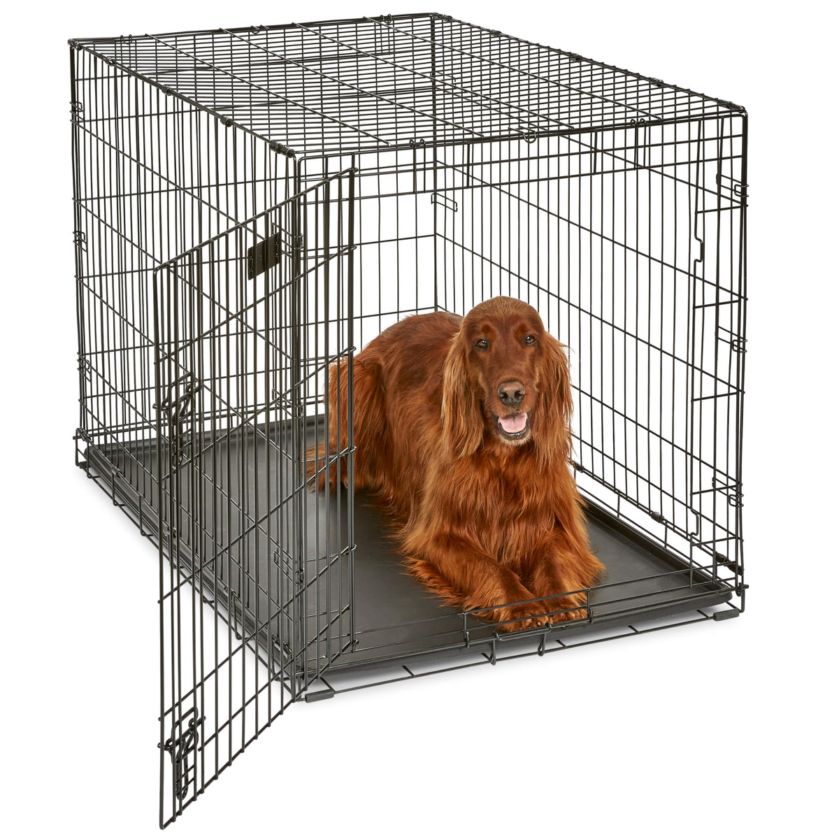 MidWest Homes for Pets 30-Inch iCrate for Medium Breeds, 21-40 lbs, Single Door Folding Dog Crate with Divider Panel, Leak-Proof Tray & Secure Latch, Portable, Durable & Easy to Assemble