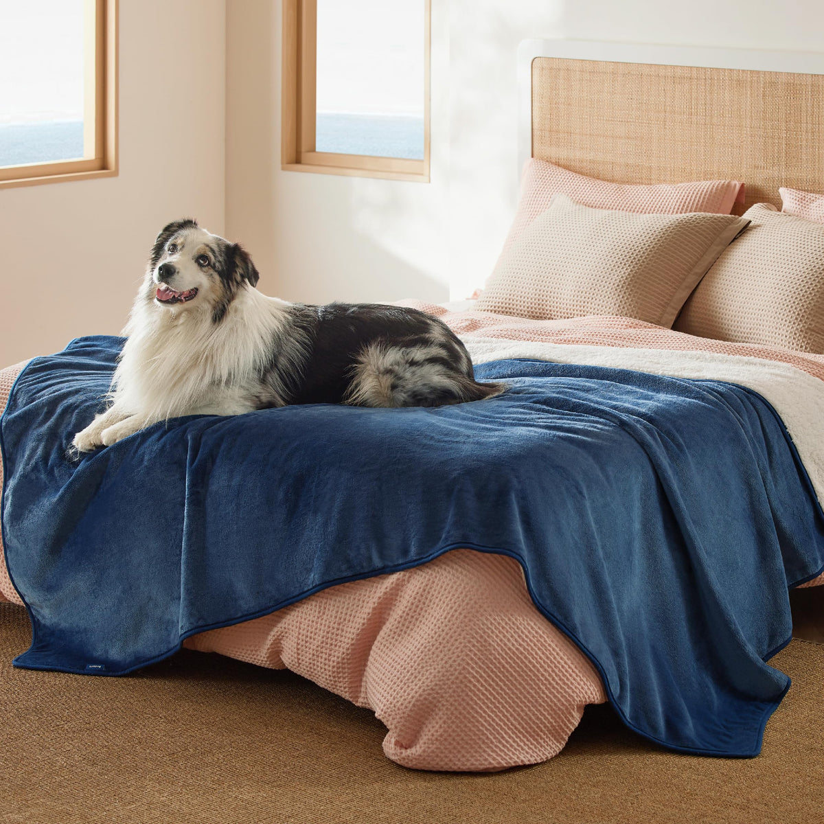 Bedsure Waterproof Dog Blankets for Small Dogs Soft Cat Blanket Warm,25X35