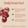 Nature's Way Brain Fuel Gummies, Brain Supplement for Focus and Memory Support,* Clinically Studied Cognigrape Supports Cognition,* Vitamins B6 & B12 Support Brain Function,* Grape Flavored, 60 Count