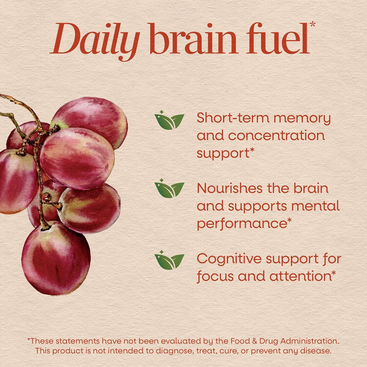 Nature's Way Brain Fuel Gummies, Brain Supplement for Focus and Memory Support,* Clinically Studied Cognigrape Supports Cognition,* Vitamins B6 & B12 Support Brain Function,* Grape Flavored, 60 Count
