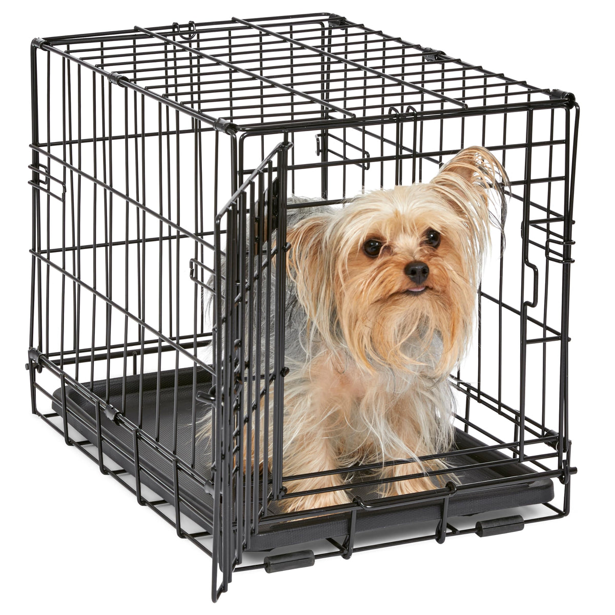 MidWest Homes for Pets 30-Inch iCrate for Medium Breeds, 21-40 lbs, Single Door Folding Dog Crate with Divider Panel, Leak-Proof Tray & Secure Latch, Portable, Durable & Easy to Assemble