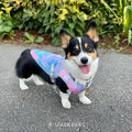 Spark Paws Dog Cooling Vest - SPF 50 UV Sun Protection - Summer Heat Relief Gear for Dogs, Lightweight, Evaporative Cooling - Dog Anxiety Relief Vest During Hot Days - Snowcone, XL
