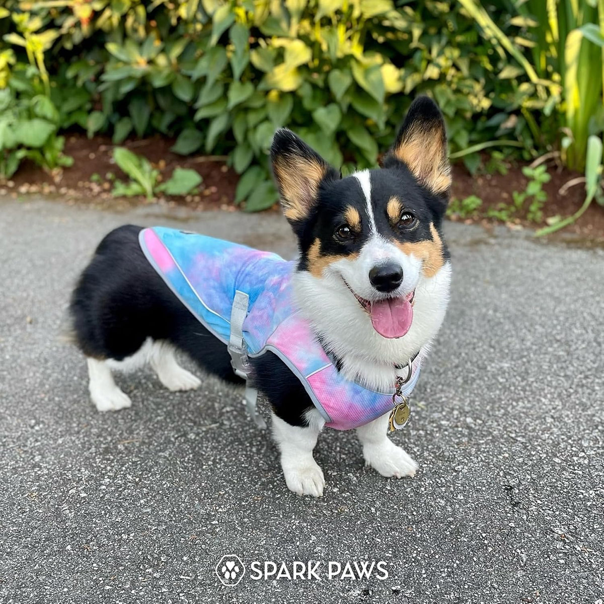 Spark Paws Dog Cooling Vest - SPF 50 UV Sun Protection - Summer Heat Relief Gear for Dogs, Lightweight, Evaporative Cooling - Dog Anxiety Relief Vest During Hot Days - Snowcone, XL
