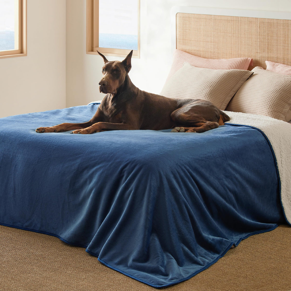 Bedsure Waterproof Dog Blankets for Small Dogs Soft Cat Blanket Warm,25X35