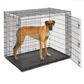 MidWest Homes for Pets 30-Inch iCrate for Medium Breeds, 21-40 lbs, Single Door Folding Dog Crate with Divider Panel, Leak-Proof Tray & Secure Latch, Portable, Durable & Easy to Assemble