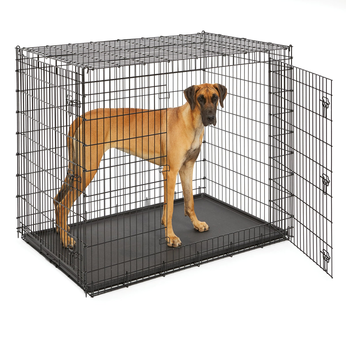 MidWest Homes for Pets 30-Inch iCrate for Medium Breeds, 21-40 lbs, Single Door Folding Dog Crate with Divider Panel, Leak-Proof Tray & Secure Latch, Portable, Durable & Easy to Assemble