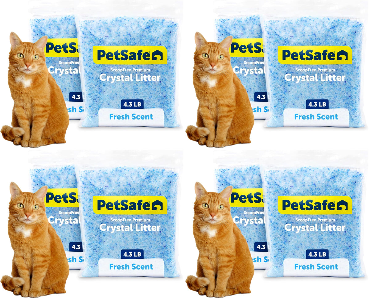 PetSafe ScoopFree 4.3 lb Bags (2 Pack) Premium Crystal Cat Litter - Outperforms Clay Litter - Refill Packs - Reusable Tray Compatible - Fresh Scent
