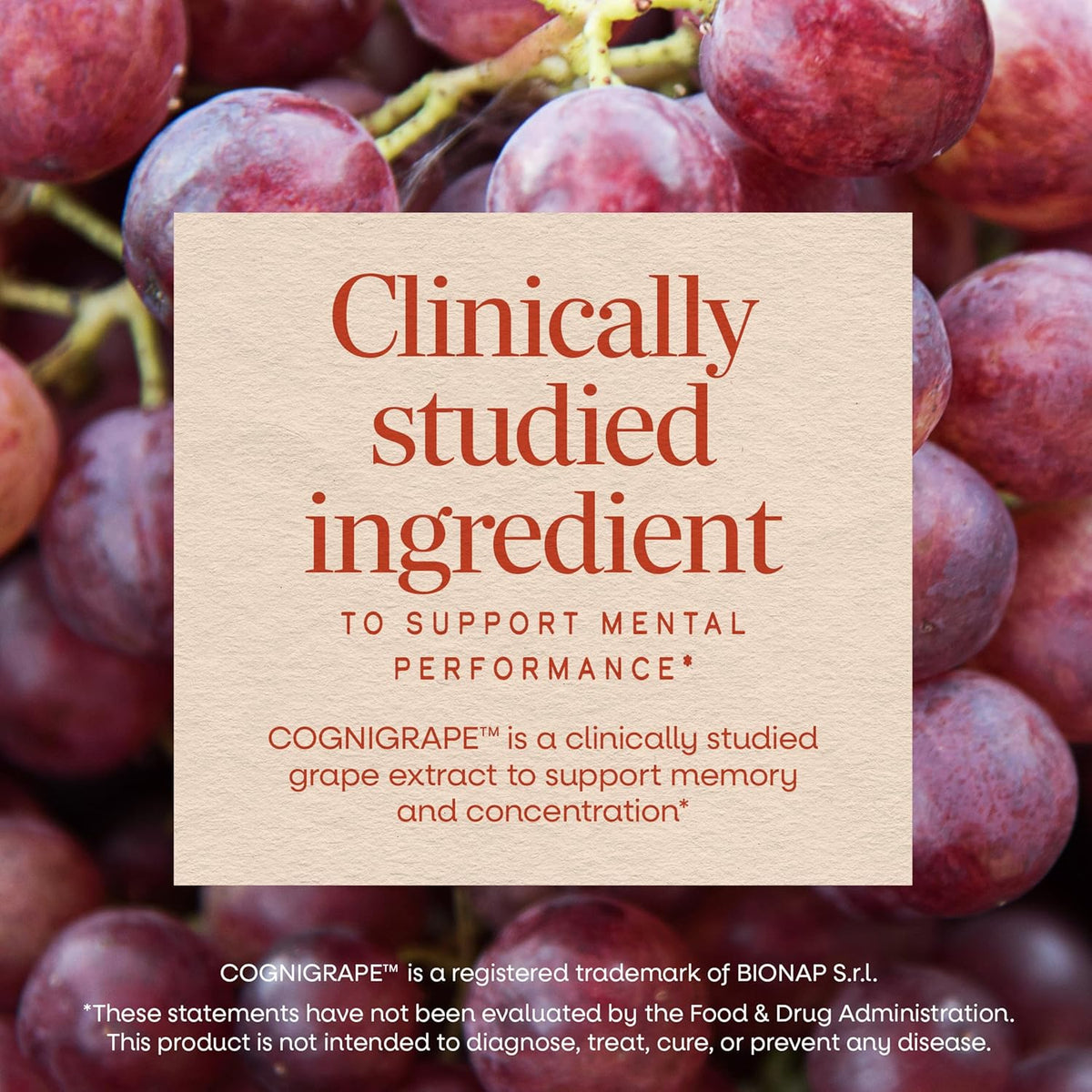 Nature's Way Brain Fuel Gummies, Brain Supplement for Focus and Memory Support,* Clinically Studied Cognigrape Supports Cognition,* Vitamins B6 & B12 Support Brain Function,* Grape Flavored, 60 Count
