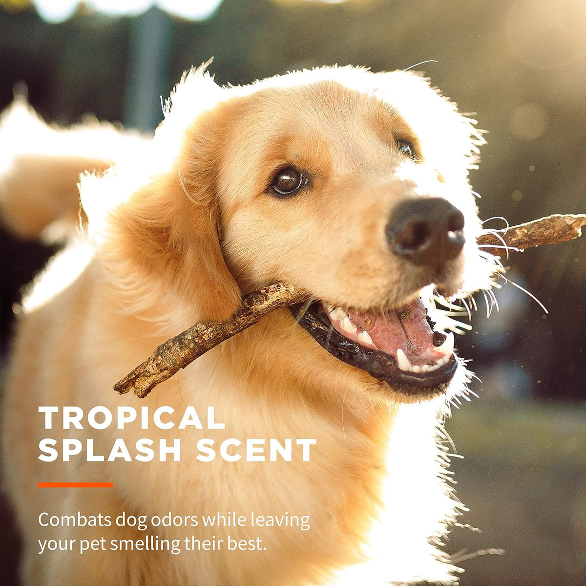 Wet Ones for Pets Multipurpose Dog Wipes with Aloe Vera, Tropical Splash Scent - Pet Bathing Wipes with Wet Lock Seal for Dog Paws and All-Over Use, 100 Count