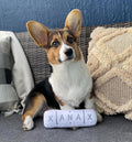 Nestpark Chill Pup Funny Dog Toy - Parody Plush Squeaky Crinkle Dog Toy