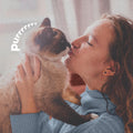 ADAMS Plus Flea and Tick Spray for Dogs & Cats, Kills Fleas and Ticks, Repels Mosquitoes, Prevents Infestations up to 2 Months, Treatment for Dogs, Cats, Puppies & Kittens, 16 Fl Oz